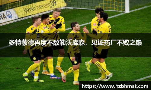 多特蒙德再度不敌勒沃库森，见证药厂不败之巅