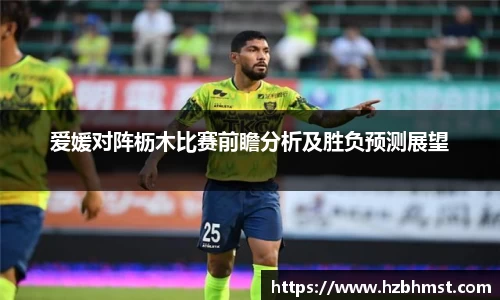 爱媛对阵枥木比赛前瞻分析及胜负预测展望